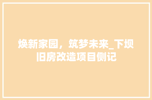 焕新家园，筑梦未来_下坝旧房改造项目侧记