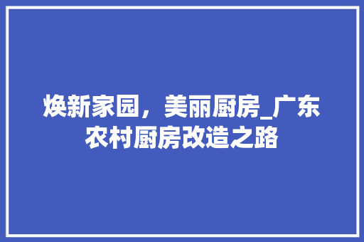 焕新家园，美丽厨房_广东农村厨房改造之路