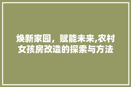焕新家园，赋能未来,农村女孩房改造的探索与方法