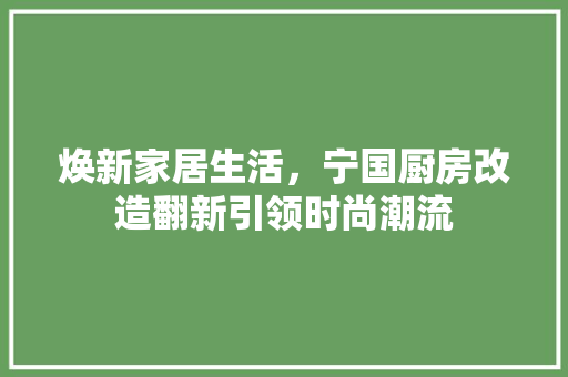 焕新家居生活，宁国厨房改造翻新引领时尚潮流 家电维修