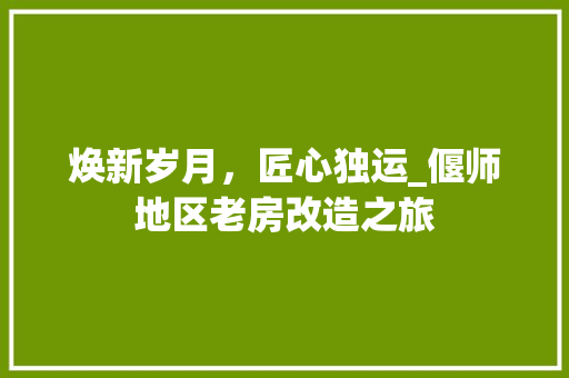 焕新岁月，匠心独运_偃师地区老房改造之旅 家电维修
