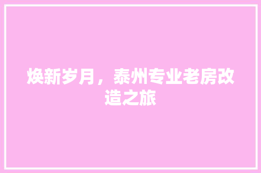 焕新岁月，泰州专业老房改造之旅