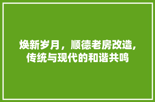 焕新岁月，顺德老房改造,传统与现代的和谐共鸣