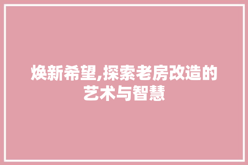 焕新希望,探索老房改造的艺术与智慧