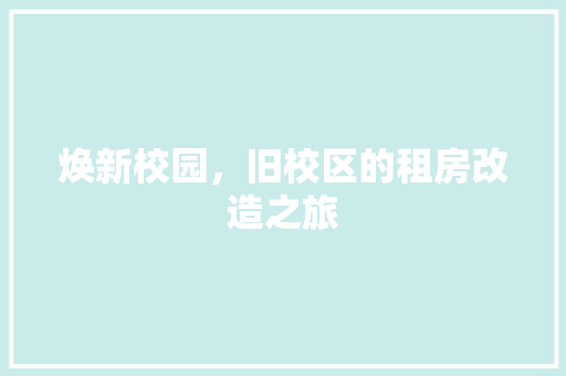焕新校园，旧校区的租房改造之旅