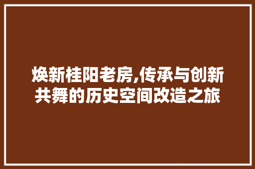 焕新桂阳老房,传承与创新共舞的历史空间改造之旅