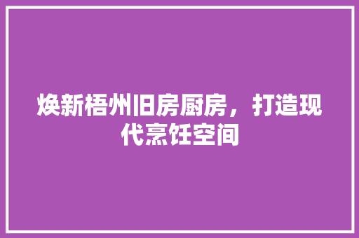 焕新梧州旧房厨房，打造现代烹饪空间