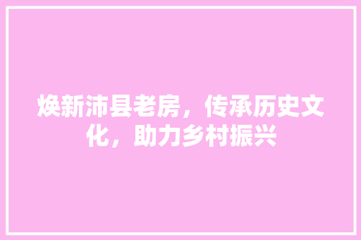 焕新沛县老房，传承历史文化，助力乡村振兴