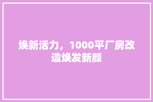 焕新活力，1000平厂房改造焕发新颜