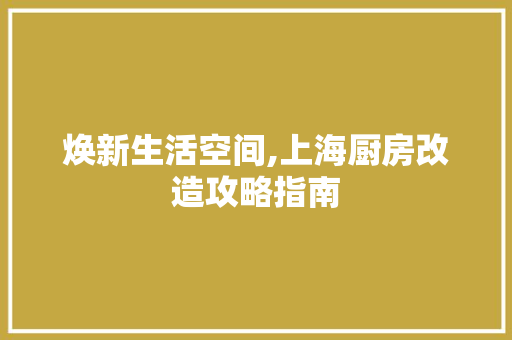 焕新生活空间,上海厨房改造攻略指南