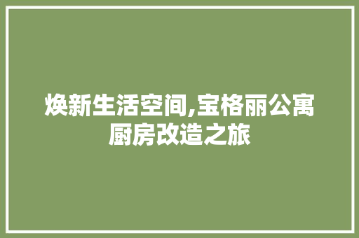焕新生活空间,宝格丽公寓厨房改造之旅
