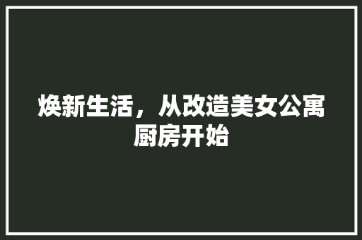 焕新生活，从改造美女公寓厨房开始
