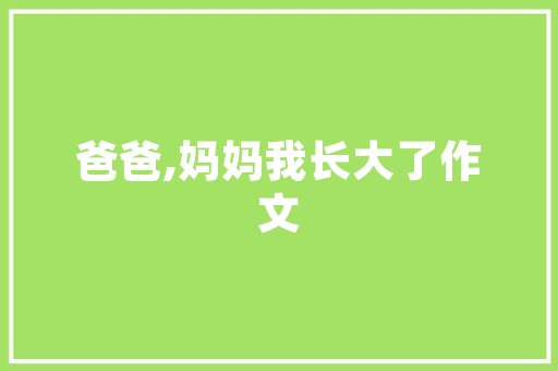 焕新生活，从毕节厨房改造开始_打造温馨家居新天地