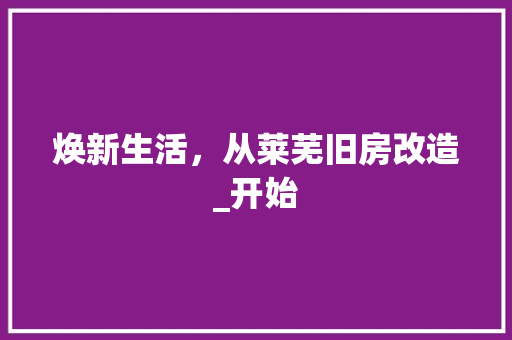 焕新生活，从莱芜旧房改造_开始