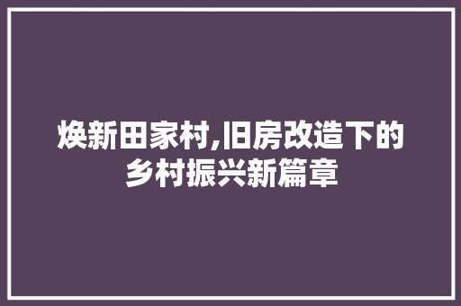 焕新田家村,旧房改造下的乡村振兴新篇章 居家维修