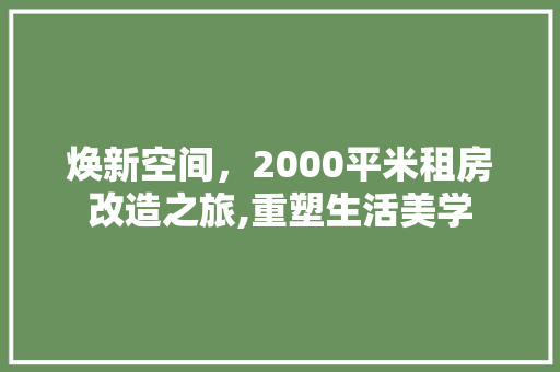 焕新空间，2000平米租房改造之旅,重塑生活美学