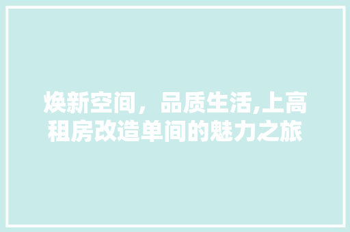 焕新空间，品质生活,上高租房改造单间的魅力之旅
