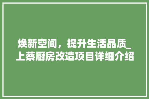 焕新空间，提升生活品质_上蔡厨房改造项目详细介绍
