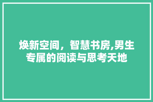 焕新空间，智慧书房,男生专属的阅读与思考天地