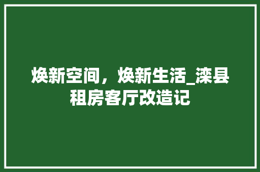 焕新空间，焕新生活_滦县租房客厅改造记 厨房维修