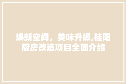 焕新空间，美味升级,桂阳厨房改造项目全面介绍