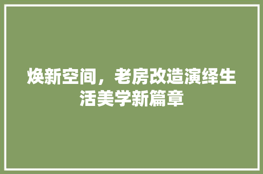 焕新空间，老房改造演绎生活美学新篇章
