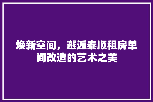 焕新空间，邂逅泰顺租房单间改造的艺术之美