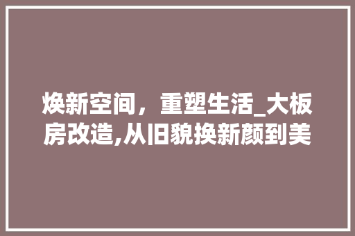 焕新空间，重塑生活_大板房改造,从旧貌换新颜到美好生活的蜕变 居家维修