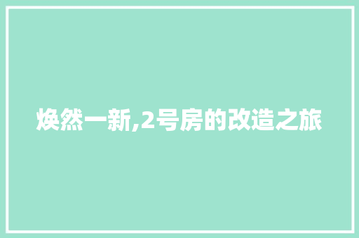 焕然一新,2号房的改造之旅 墙体维修