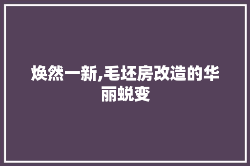 焕然一新,毛坯房改造的华丽蜕变 墙体维修