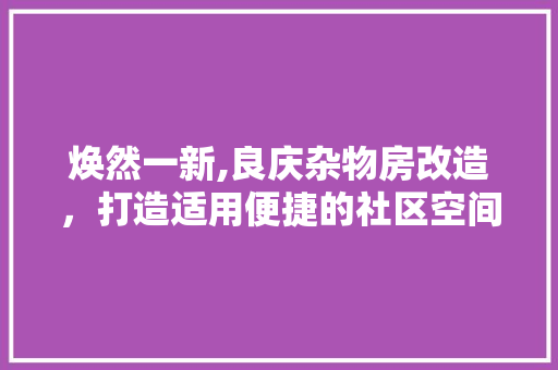 焕然一新,良庆杂物房改造，打造适用便捷的社区空间