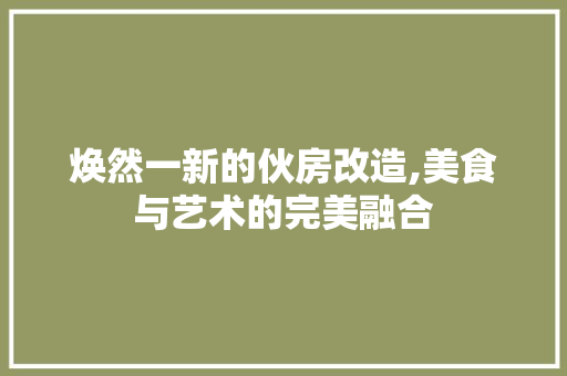 焕然一新的伙房改造,美食与艺术的完美融合