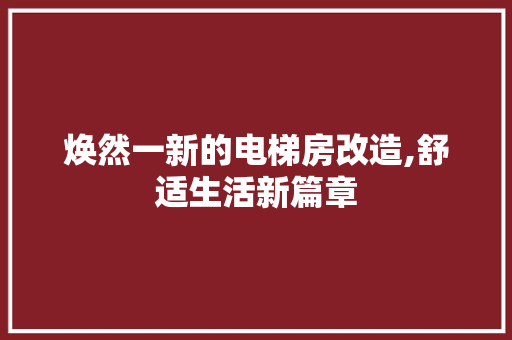 焕然一新的电梯房改造,舒适生活新篇章 墙体维修