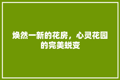 焕然一新的花房，心灵花园的完美蜕变 家电维修