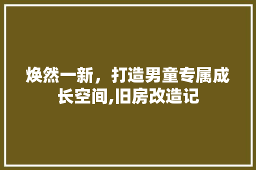 焕然一新，打造男童专属成长空间,旧房改造记
