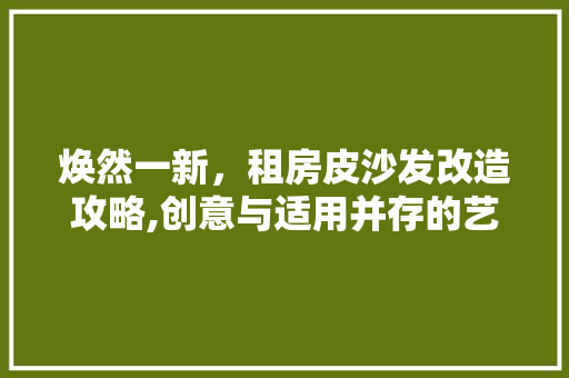 焕然一新，租房皮沙发改造攻略,创意与适用并存的艺术之旅 家电维修