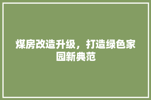 煤房改造升级，打造绿色家园新典范