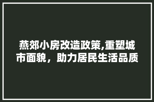 燕郊小房改造政策,重塑城市面貌，助力居民生活品质提升 家电维修