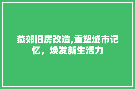 燕郊旧房改造,重塑城市记忆，焕发新生活力 居家维修
