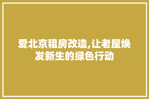爱北京租房改造,让老屋焕发新生的绿色行动