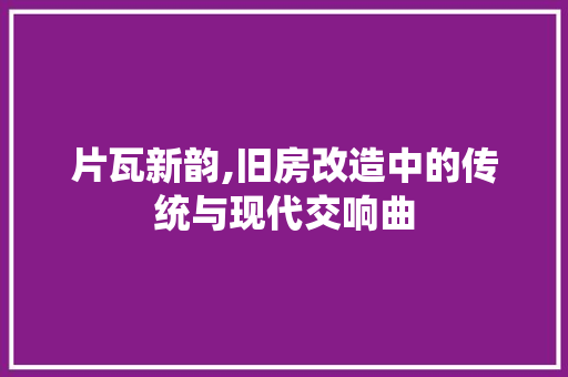 片瓦新韵,旧房改造中的传统与现代交响曲