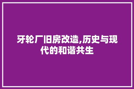 牙轮厂旧房改造,历史与现代的和谐共生