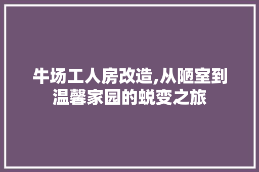 牛场工人房改造,从陋室到温馨家园的蜕变之旅