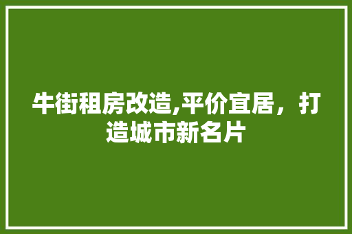 牛街租房改造,平价宜居，打造城市新名片