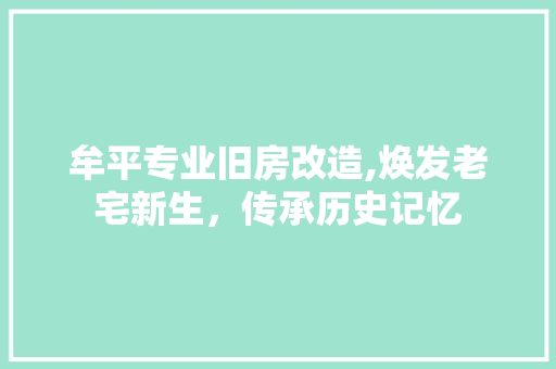 牟平专业旧房改造,焕发老宅新生，传承历史记忆