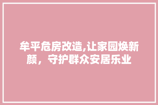 牟平危房改造,让家园焕新颜，守护群众安居乐业