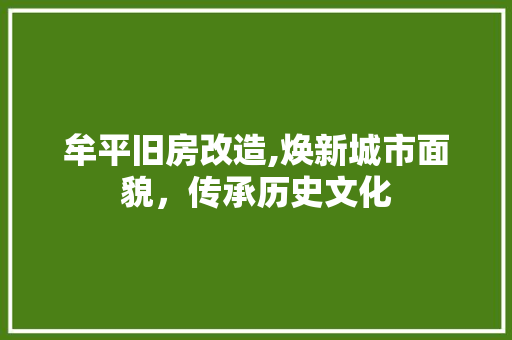 牟平旧房改造,焕新城市面貌，传承历史文化