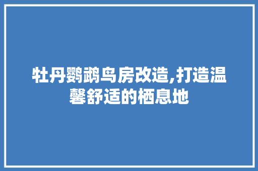 牡丹鹦鹉鸟房改造,打造温馨舒适的栖息地