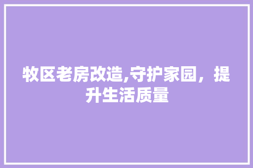 牧区老房改造,守护家园，提升生活质量