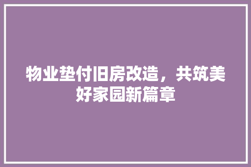 物业垫付旧房改造，共筑美好家园新篇章